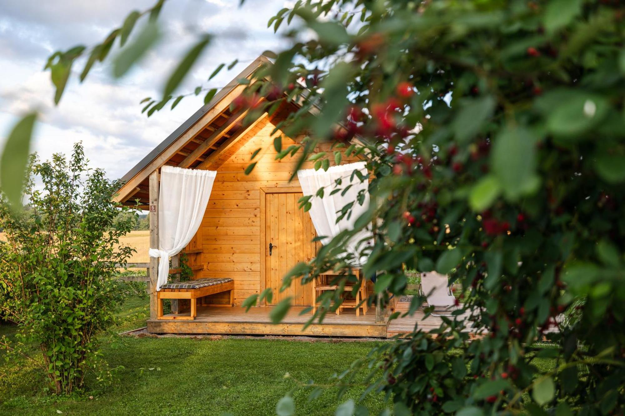 Glamping Kolpa Resort Gradac Extérieur photo